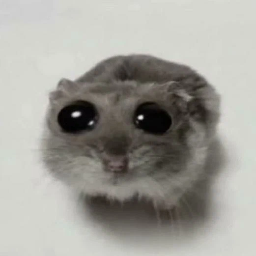 Meme Placeholder